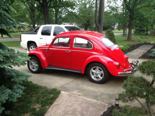 Vw beetle