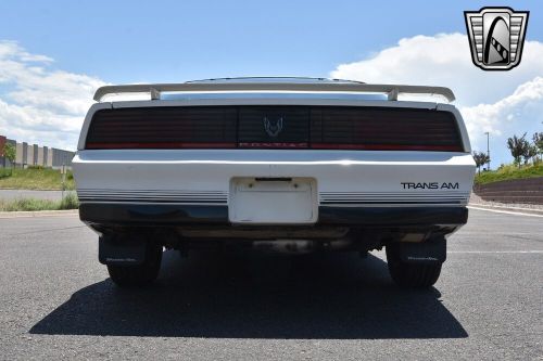 1984 pontiac firebird trans am