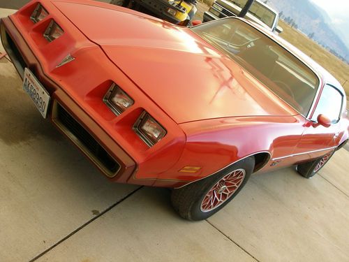 1979 pontiac redbird se trans am interior special edition project car red bird