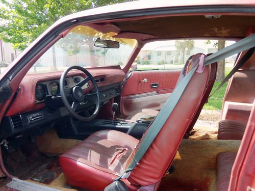 1977 Chevrolet Camaro... NO RESERVE !!!, image 11