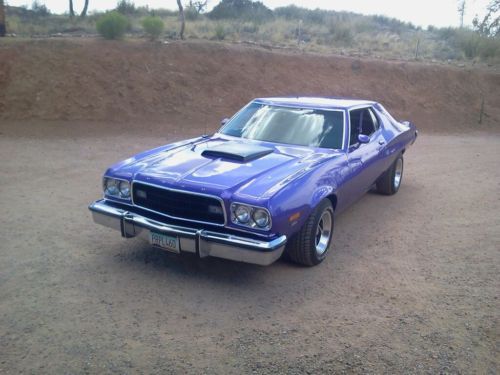 1973 gran torino/stock modified