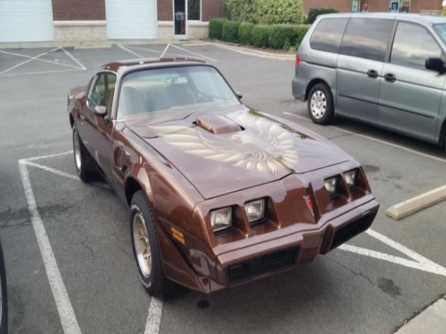 1979 pontiac trans am w72  ws6