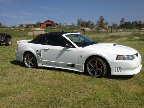 2001 saleen mustang gt