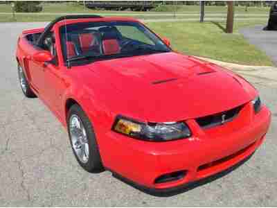 2003 FORD MUSTANG SVT COBRA CONVERTIBLE, image 5