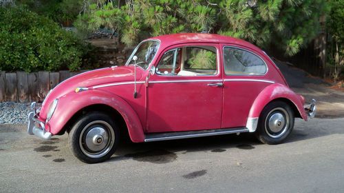 1965 vw bug