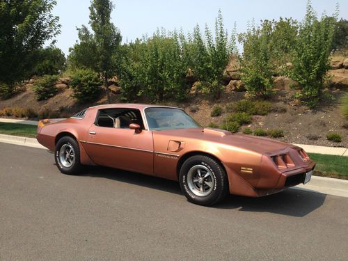 1980 pontiac firebird trans am survivor all original bandit joe dirt untouched