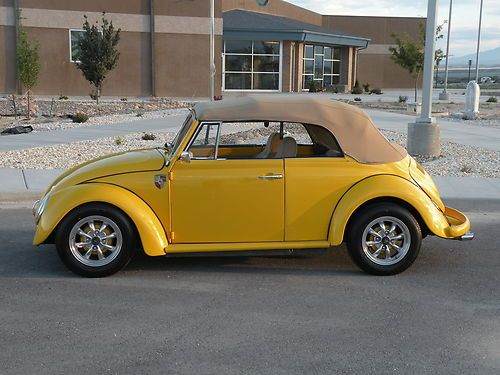 1966 vw bug custom all new rag top 1970 pan 1976 cc wool top show winner no rese