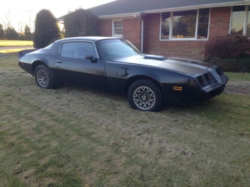 1981 pontiac trans am