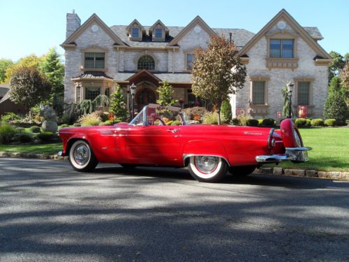 1956 thunderbird