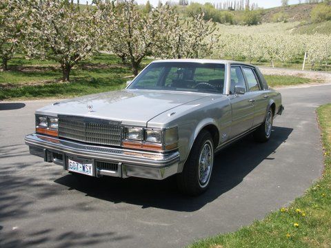 1977 Cadillac Seville *85,000 Original Miles* One Owner, image 3