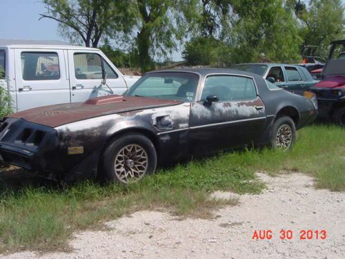 1979 pontiac trans am