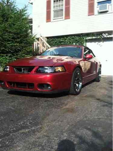 03 mustang cobra