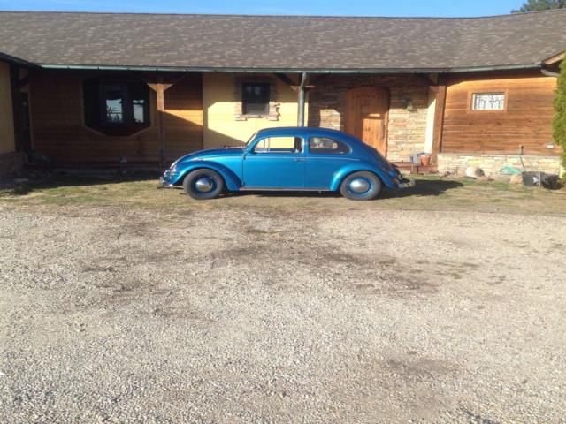 Volkswagen beetle - classic type 1
