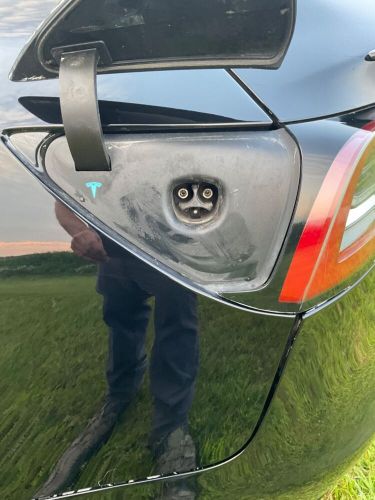 2019 Tesla Other, US $21,500.00, image 5