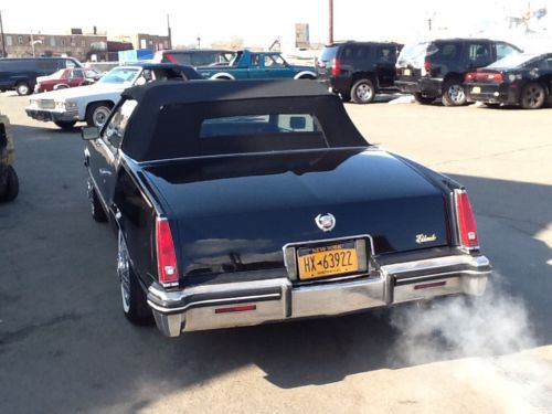 Black on black eldorado conv