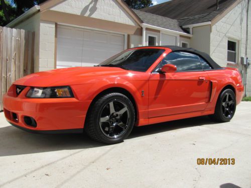 2004 mustang cobra