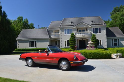 1988 alfa romeo spider (graduate)