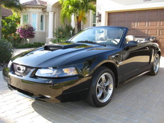 2003 - ford mustang