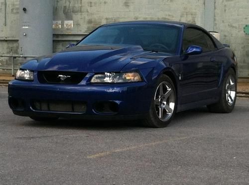 2003 cobra 800 rwhp low miles