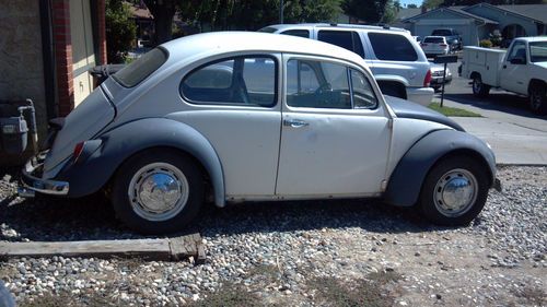1966 volkswagen beetle base