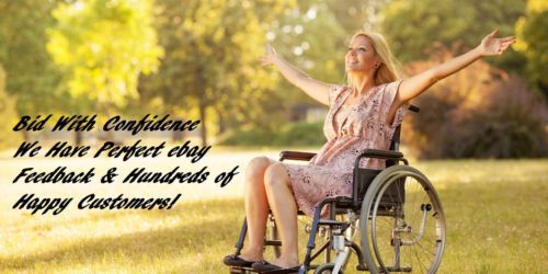 13 Grand Caravan Handicap Accessible Wheelchair Van Rear Ramp We Finance, image 4