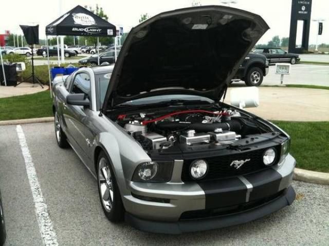 Ford mustang gt