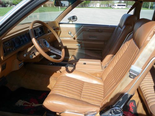 1979 Hurst/Olds--Classic Collector--Show & Go--TROPHY WINNER!!!!--Show Ready!!!!, image 3