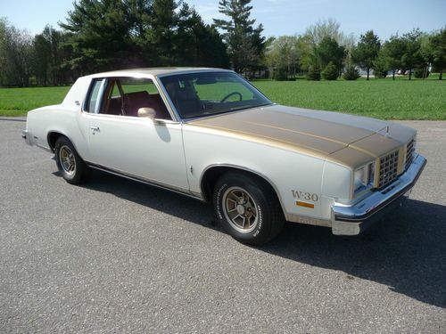1979 Hurst/Olds--Classic Collector--Show & Go--TROPHY WINNER!!!!--Show Ready!!!!, image 12