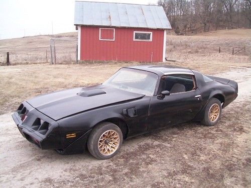 Firebird, trans am, ttops, bandit, black, gold