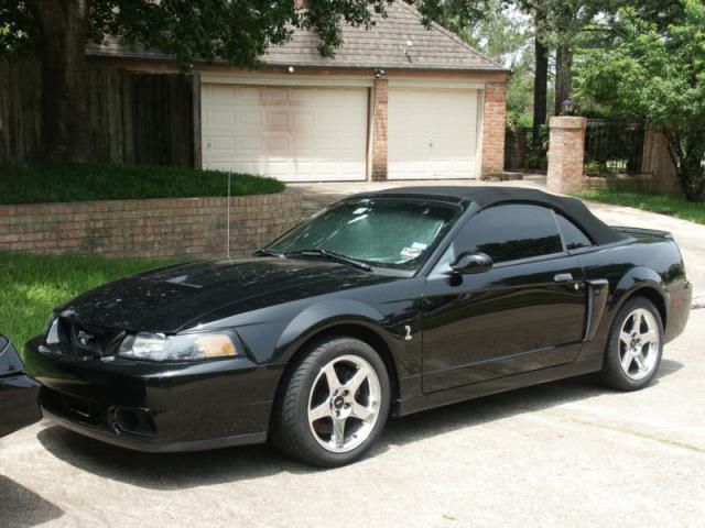 Ford mustang svt cobra convertible 2-door