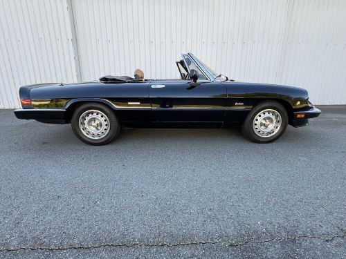 1987 alfa romeo spider graduate