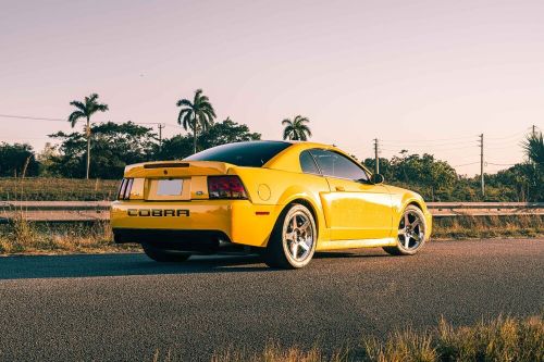 2004 ford mustang svt cobra