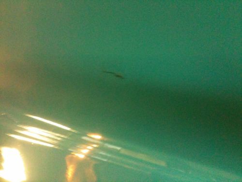 NICE 57 4 DOOR BELAIR POST, image 12