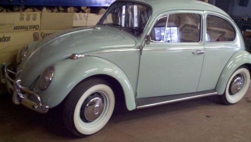 1966 volkswagen beetle base 1.3l