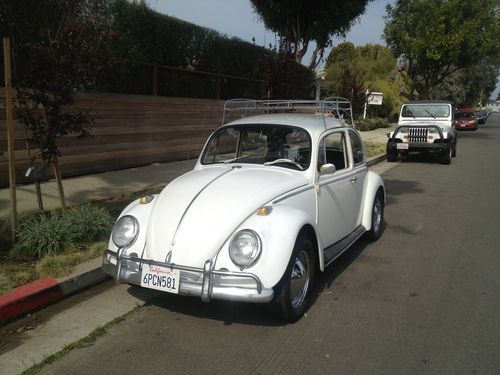 1965 volkswagen bug