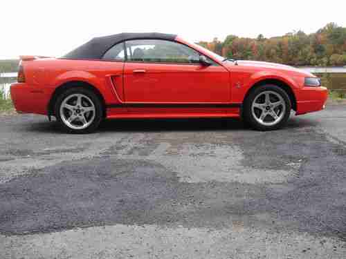 2001 Ford Mustang SVT Cobra Convertible   LOW MILEAGE, image 3