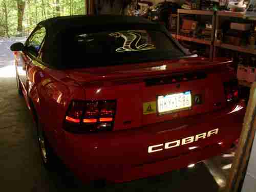 2001 Ford Mustang SVT Cobra Convertible   LOW MILEAGE, image 5
