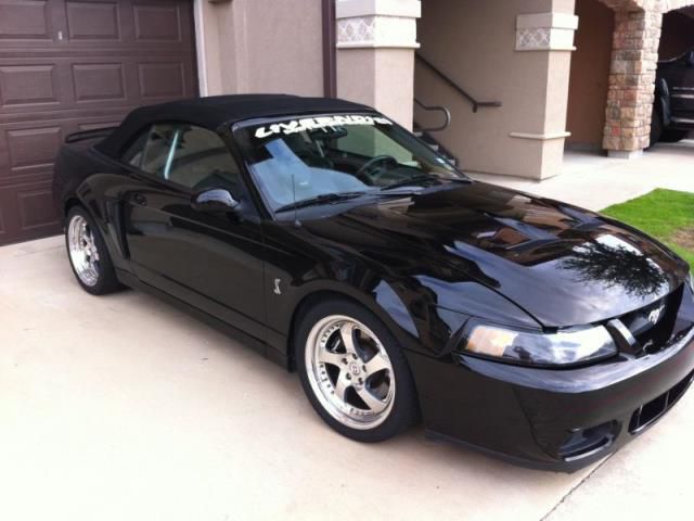 Ford: mustang 2003 livernois cobra convertible 590