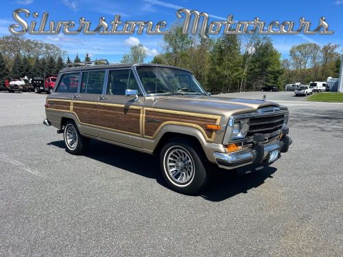 1989 jeep grand wagoneer