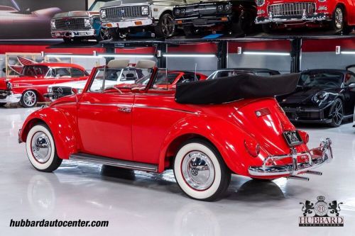 1960 volkswagen beetle