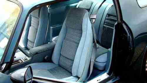 1979 Pontiac Firebird Trans Am *Low Miles, image 10