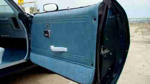 1979 Pontiac Firebird Trans Am *Low Miles, image 14