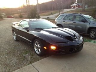 99 ws6 trans am