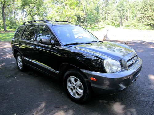 no reserve 2006 Hyundai Santa Fe GLS Sport Utility 4-Door 2.7L no reserve, image 3