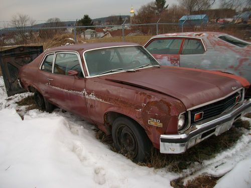 1973 nova ss and 1974 spirit of america nova