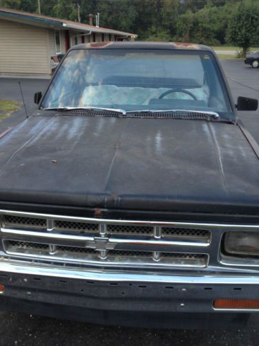 1989 chevy s10 pick up