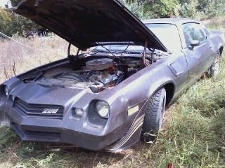 1981 z28 camaro