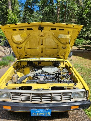 1981 dodge other pickups
