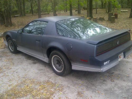 1984 pontiac trans am firebird project original title, one owner no reserve!