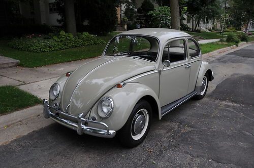 1966 volkswagen beetle